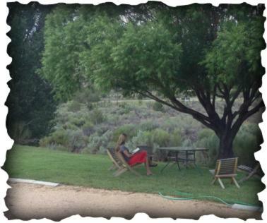 טרופיק Bullberry Inn Bed & Breakfast מראה חיצוני תמונה